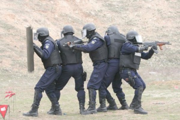 Jandarmii au făcut bilanţul lunii iulie: au executat 633 de misiuni